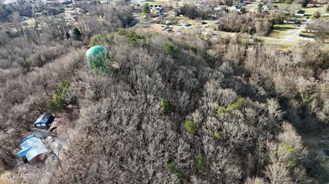 Tiny photo for 822 W Bates St, Rockwood, TN 37854 (MLS # 1326227)