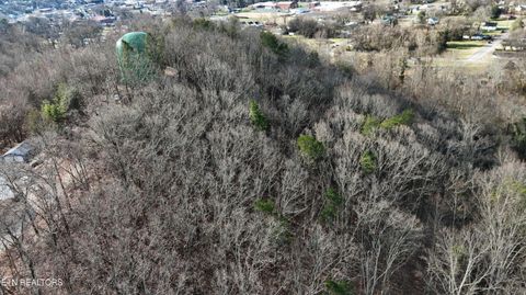 Tiny photo for 822 W Bates St, Rockwood, TN 37854 (MLS # 1326227)