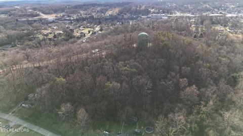 Tiny photo for 822 W Bates St, Rockwood, TN 37854 (MLS # 1326227)