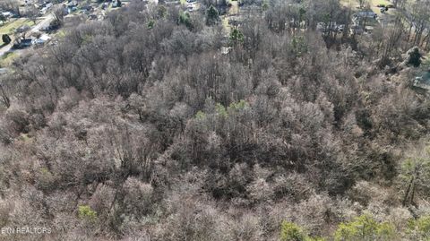 Tiny photo for 822 W Bates St, Rockwood, TN 37854 (MLS # 1326227)