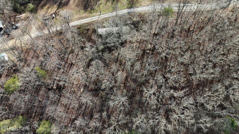 Tiny photo for 822 W Bates St, Rockwood, TN 37854 (MLS # 1326227)