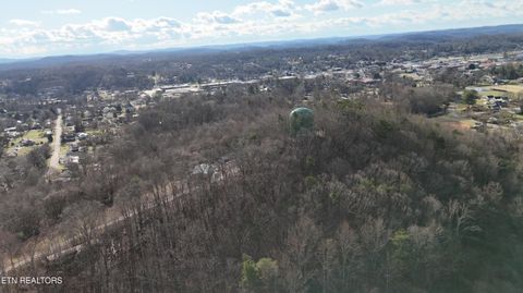 Tiny photo for 822 W Bates St, Rockwood, TN 37854 (MLS # 1326227)