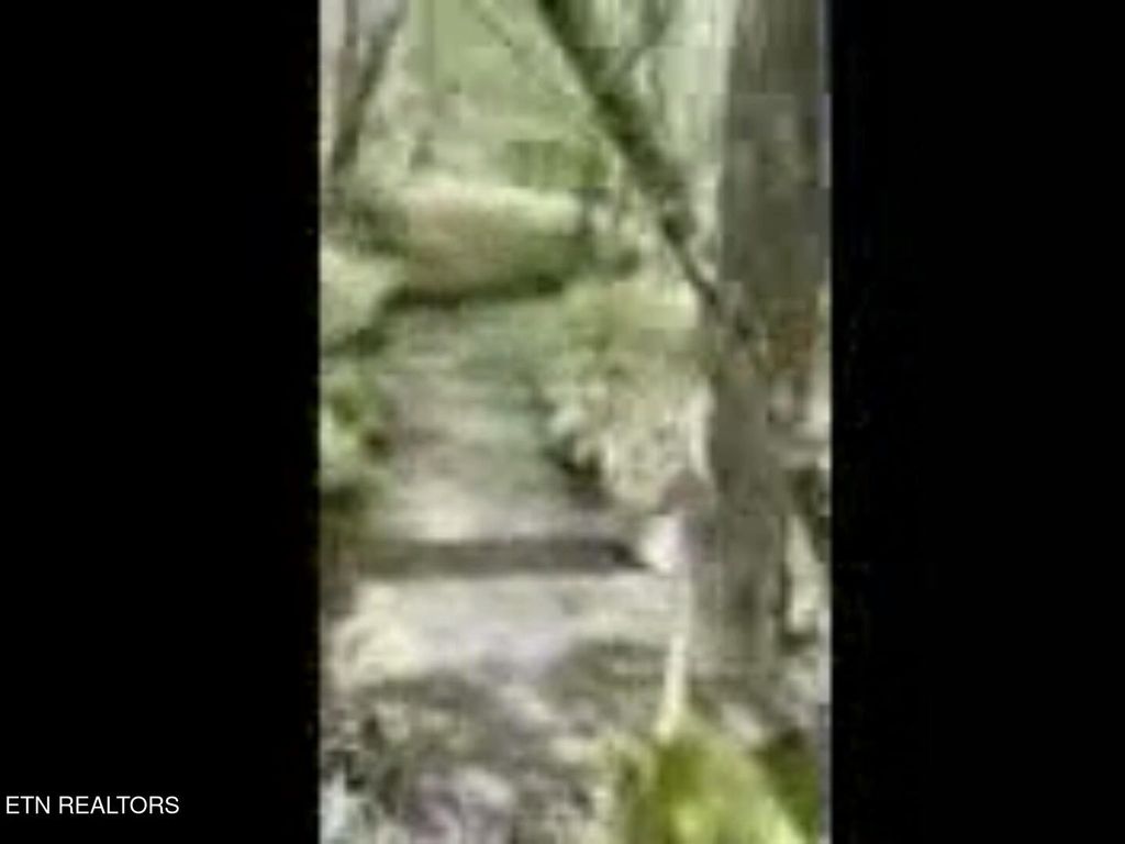 Photo of Peter Ford Rd, Sunbright, TN 37872 (MLS # 1319904)