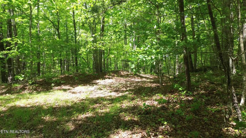 Photo of Peter Ford Rd, Sunbright, TN 37872 (MLS # 1319904)