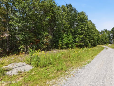 Tiny photo for 335 Mockingbird Lane, Wilder, TN 38589 (MLS # 1355057)