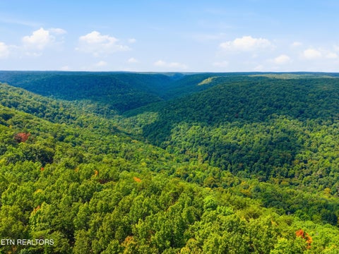 Tiny photo for 335 Mockingbird Lane, Wilder, TN 38589 (MLS # 1355057)