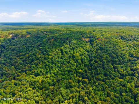 Tiny photo for 335 Mockingbird Lane, Wilder, TN 38589 (MLS # 1355057)