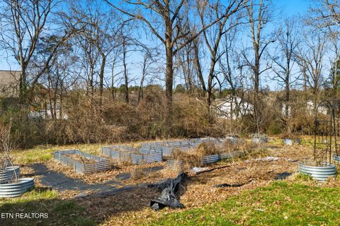 Tiny photo for 7123 Windwhisper Blvd, Knoxville, TN 37924 (MLS # 1330617)