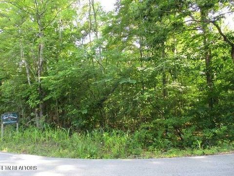 Tiny photo for 12 Red Cloud Rd, Ten Mile, TN 37880 (MLS # 1305012)