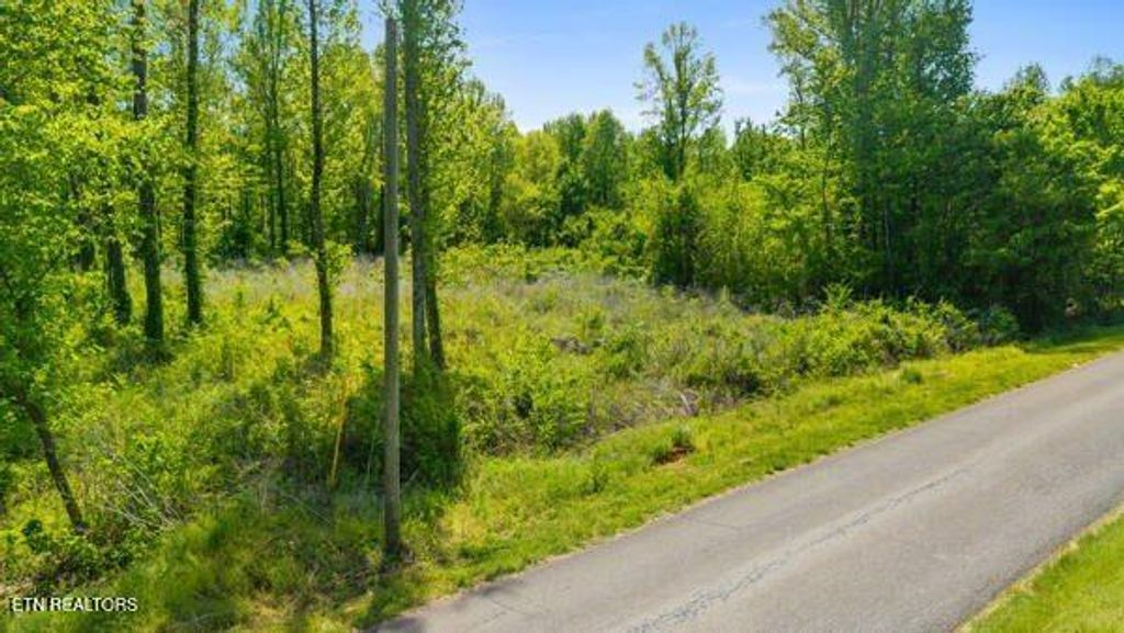 Photo of Old Mine Rd, Sweetwater, TN 37874 (MLS # 1337497)