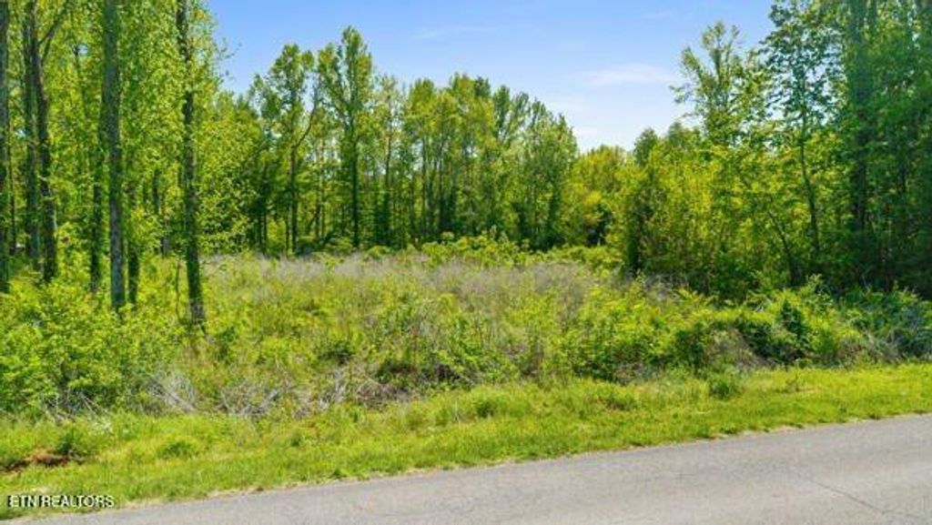 Photo of Old Mine Rd, Sweetwater, TN 37874 (MLS # 1337497)