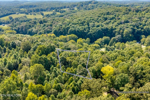 Tiny photo for 287 Cave Creek Rd, Loudon, TN 37774 (MLS # 1355044)