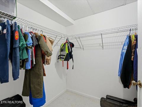 Tiny photo for 2066 Mullins Rd, Russellville, TN 37860 (MLS # 1334742)