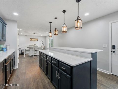 Tiny photo for 2066 Mullins Rd, Russellville, TN 37860 (MLS # 1334742)