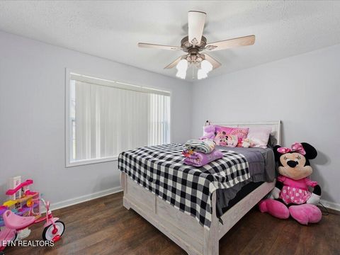 Tiny photo for 2066 Mullins Rd, Russellville, TN 37860 (MLS # 1334742)