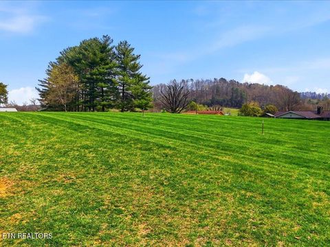 Tiny photo for 2066 Mullins Rd, Russellville, TN 37860 (MLS # 1334742)