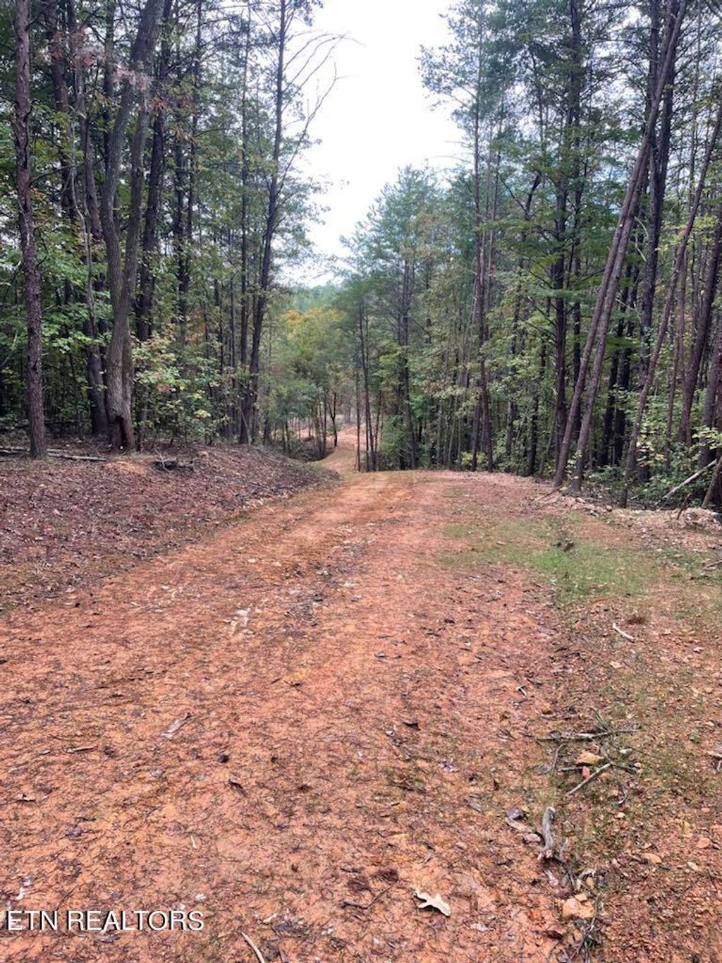 Photo of 120 Maple Springs Rd, Tellico Plains, TN 37385 (MLS # 1280200)