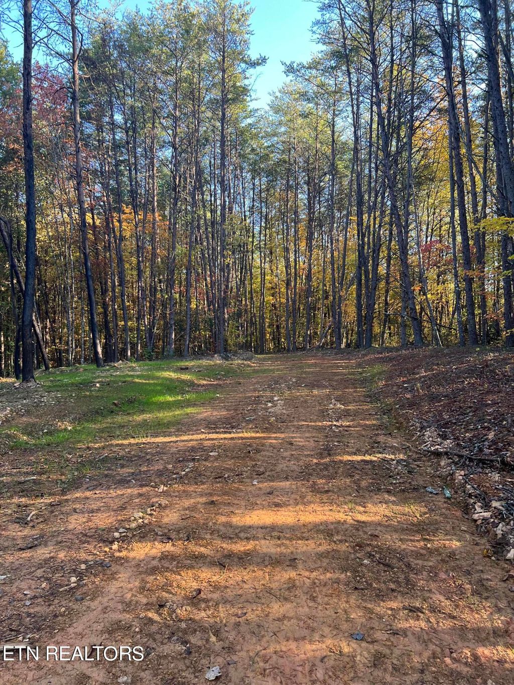 Photo of 120 Maple Springs Rd, Tellico Plains, TN 37385 (MLS # 1280200)