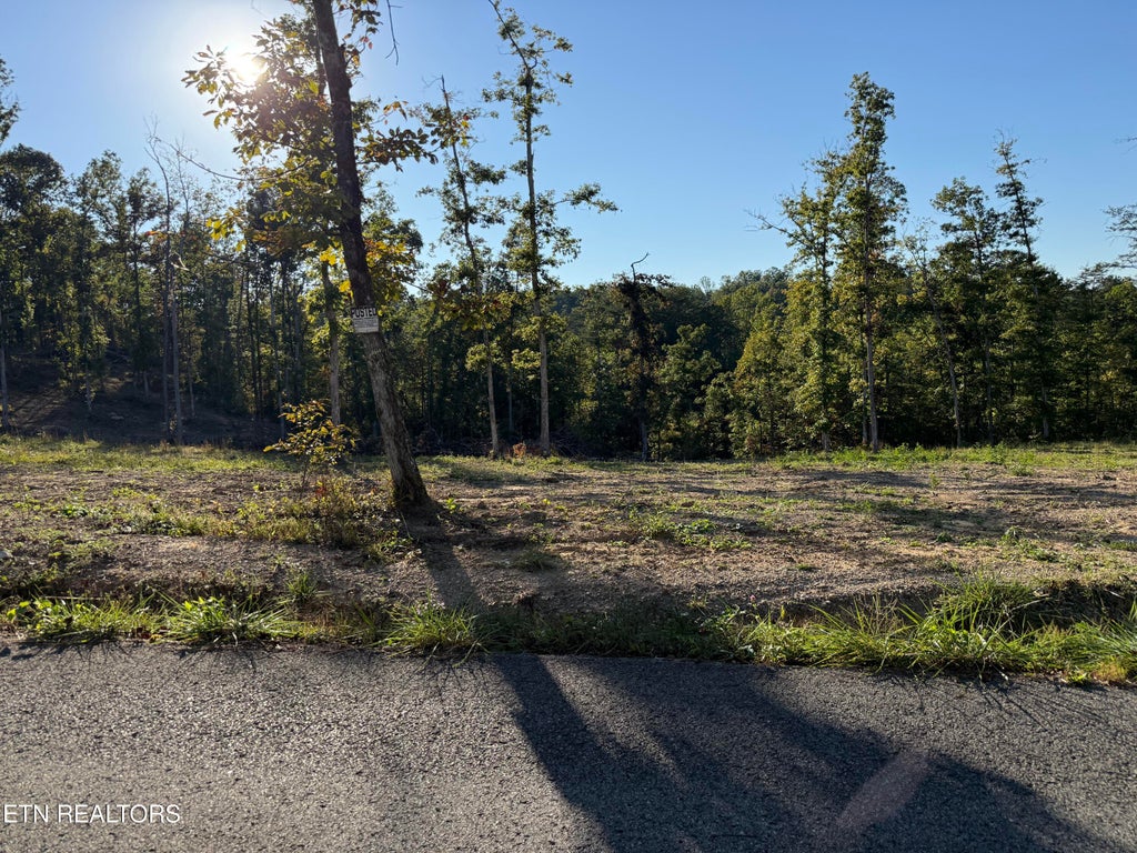 Photo of 1274 Vine Ridge Rd, Wilder, TN 38589 (MLS # 1358794)