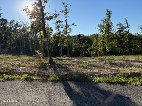 Photo of 1274 Vine Ridge Rd, Wilder, TN 38589 (MLS # 1358794)