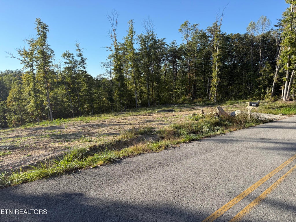 Photo of 1274 Vine Ridge Rd, Wilder, TN 38589 (MLS # 1358794)