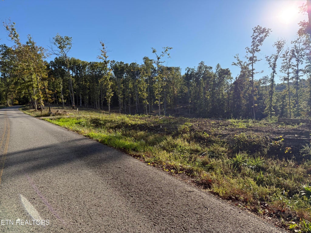 Photo of 1274 Vine Ridge Rd, Wilder, TN 38589 (MLS # 1358794)