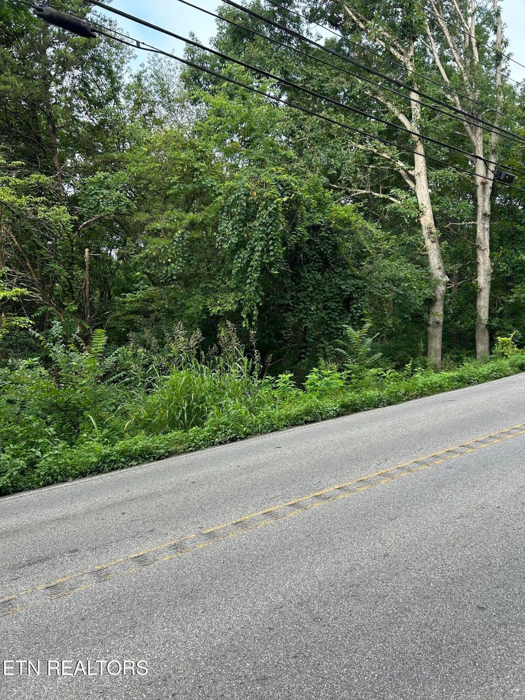 Photo of 1417 Joe Hinton Rd, Knoxville, TN 37931 (MLS # 1348844)