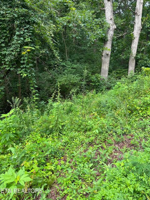 Photo of 1417 Joe Hinton Rd, Knoxville, TN 37931 (MLS # 1348844)