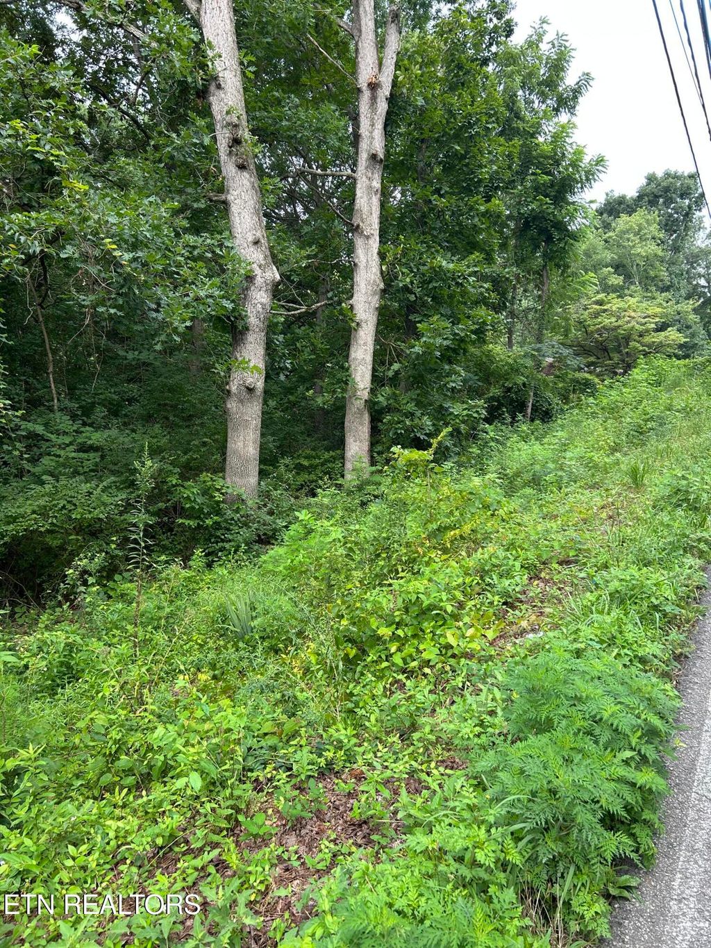 Photo of 1417 Joe Hinton Rd, Knoxville, TN 37931 (MLS # 1348844)