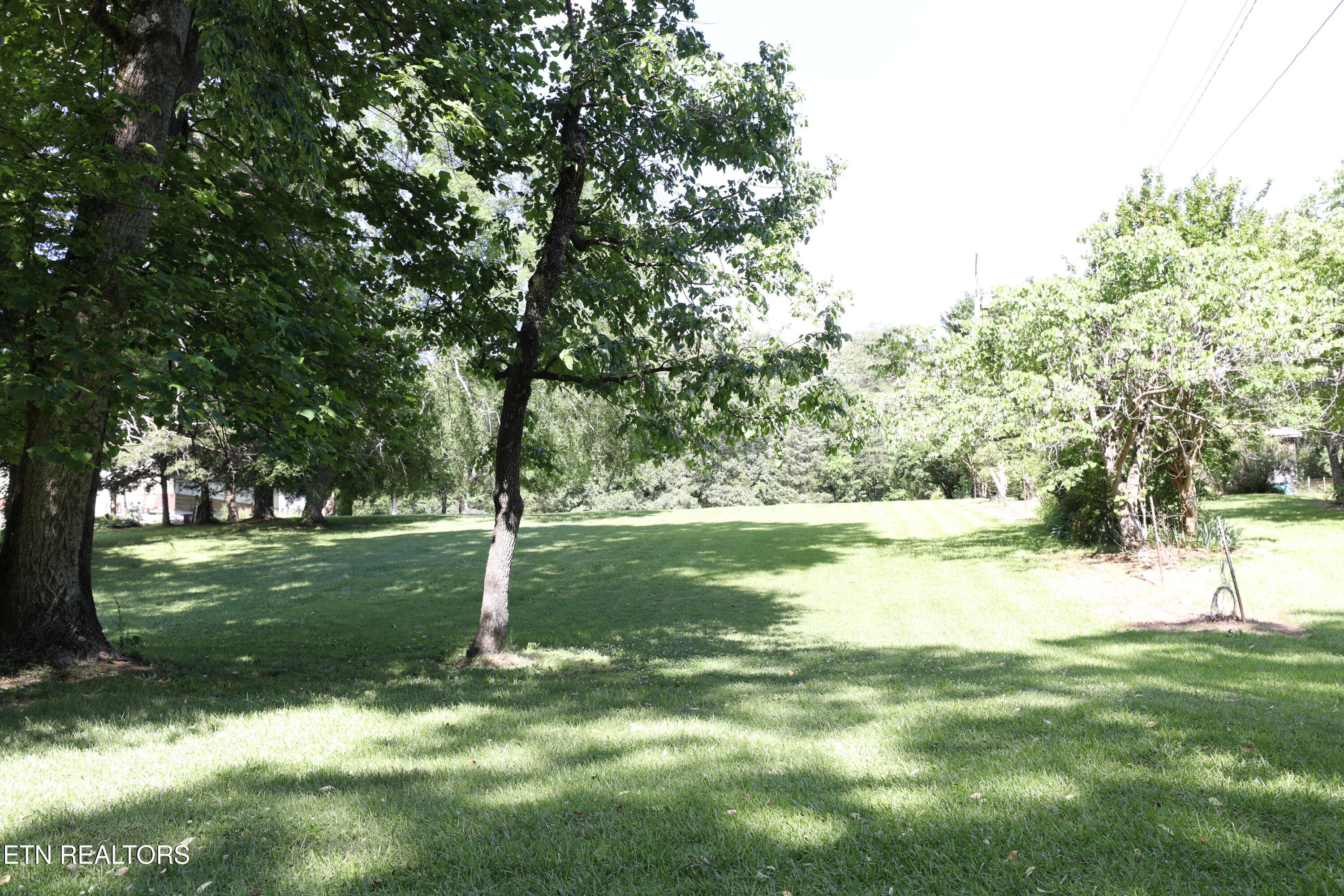 Mountain View Drive