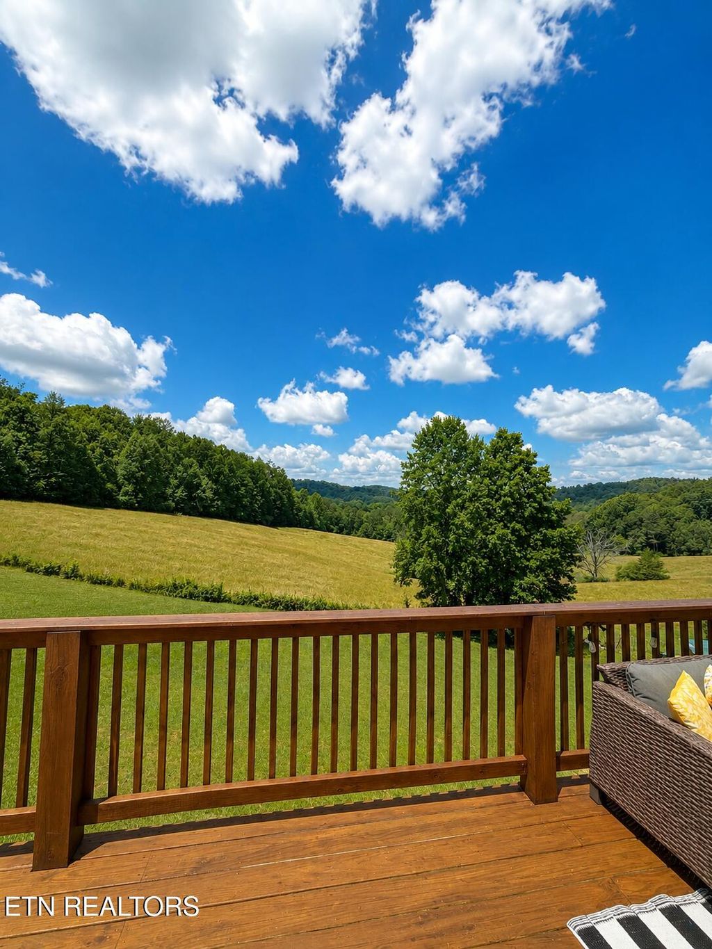 Photo of 3308 Clouds Rd, New Tazewell, TN 37825 (MLS # 1345515)
