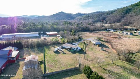 Tiny photo for 167 Millstone Way, Cosby, TN 37722 (MLS # 1327637)