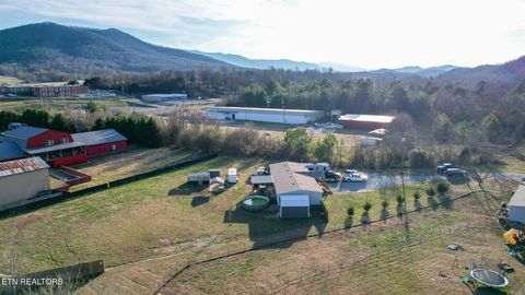 Tiny photo for 167 Millstone Way, Cosby, TN 37722 (MLS # 1327637)