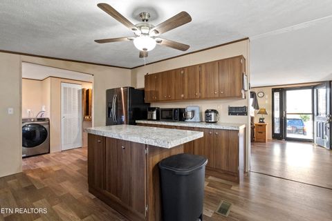 Tiny photo for 167 Millstone Way, Cosby, TN 37722 (MLS # 1327637)