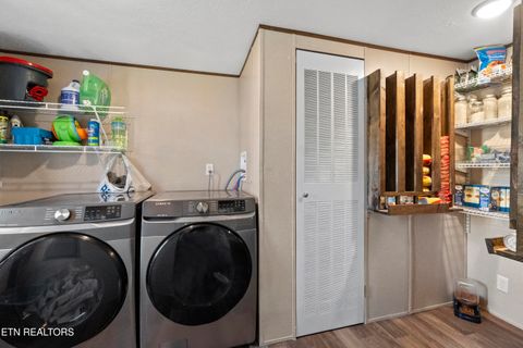 Tiny photo for 167 Millstone Way, Cosby, TN 37722 (MLS # 1327637)