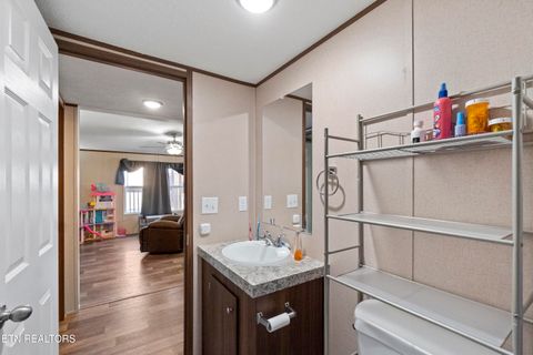 Tiny photo for 167 Millstone Way, Cosby, TN 37722 (MLS # 1327637)