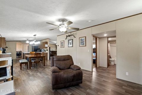 Tiny photo for 167 Millstone Way, Cosby, TN 37722 (MLS # 1327637)