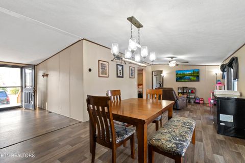 Tiny photo for 167 Millstone Way, Cosby, TN 37722 (MLS # 1327637)