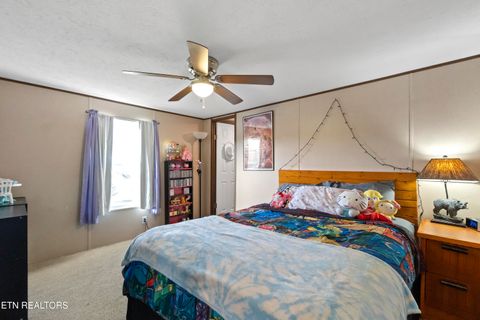 Tiny photo for 167 Millstone Way, Cosby, TN 37722 (MLS # 1327637)