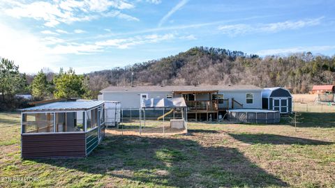 Tiny photo for 167 Millstone Way, Cosby, TN 37722 (MLS # 1327637)