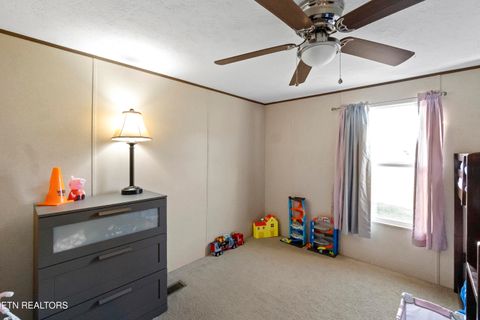 Tiny photo for 167 Millstone Way, Cosby, TN 37722 (MLS # 1327637)