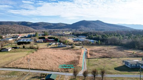 Tiny photo for 167 Millstone Way, Cosby, TN 37722 (MLS # 1327637)