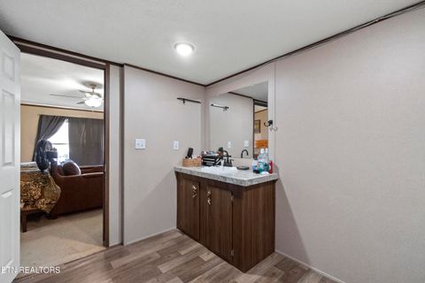 Tiny photo for 167 Millstone Way, Cosby, TN 37722 (MLS # 1327637)