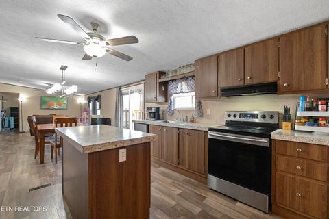 Tiny photo for 167 Millstone Way, Cosby, TN 37722 (MLS # 1327637)
