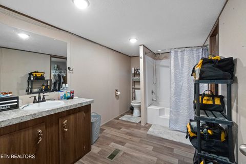 Tiny photo for 167 Millstone Way, Cosby, TN 37722 (MLS # 1327637)