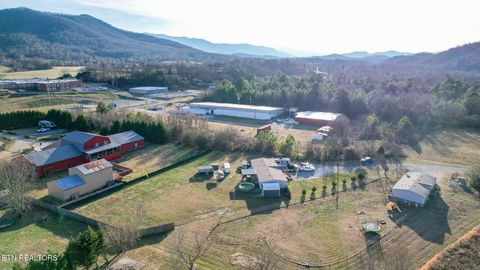 Tiny photo for 167 Millstone Way, Cosby, TN 37722 (MLS # 1327637)