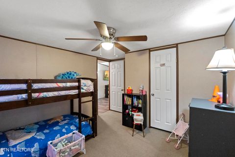 Tiny photo for 167 Millstone Way, Cosby, TN 37722 (MLS # 1327637)