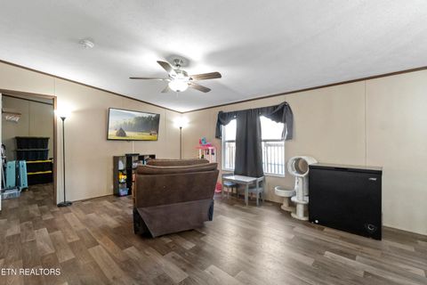 Tiny photo for 167 Millstone Way, Cosby, TN 37722 (MLS # 1327637)