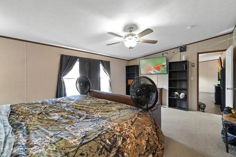 Tiny photo for 167 Millstone Way, Cosby, TN 37722 (MLS # 1327637)