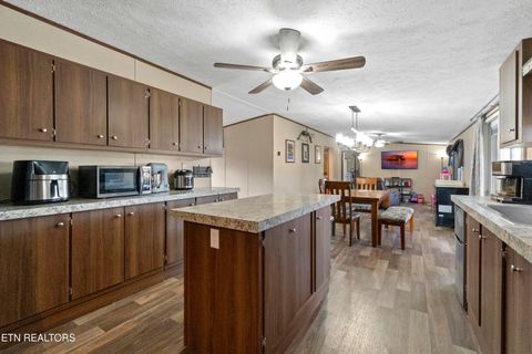 Tiny photo for 167 Millstone Way, Cosby, TN 37722 (MLS # 1327637)